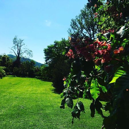 La Valle B&B Брешия Экстерьер фото