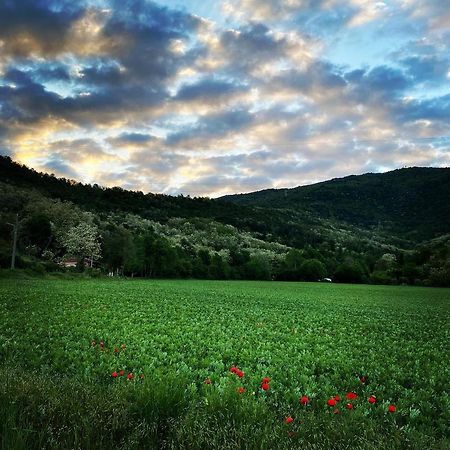 La Valle B&B Брешия Экстерьер фото