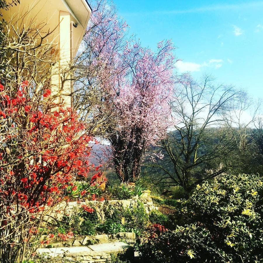 La Valle B&B Брешия Экстерьер фото